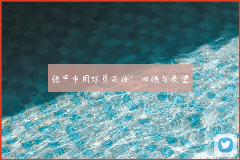 德甲中国球员足迹：回顾与展望