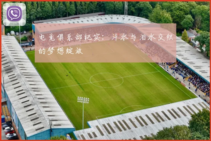 电竞俱乐部纪实:汗水与泪水交织的梦想绽放